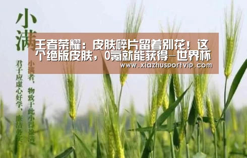 王者荣耀:皮肤碎片留着别花!这个绝版皮肤,0氪就能获得-世界杯下注官网(图1) 世界杯下注官网