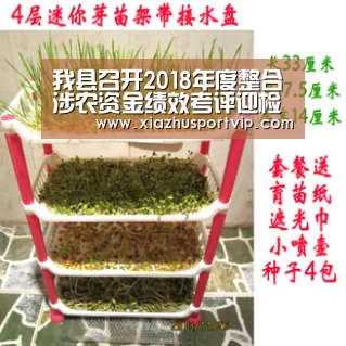 世界杯下注