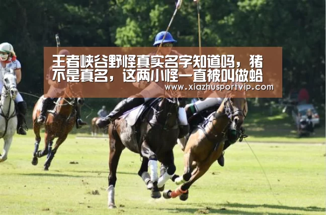 王者峡谷野怪真实名字知道吗,猪不是真名,这两小怪一直被叫做蛤蟆-世界杯下注平台(图4) 世界杯投注网