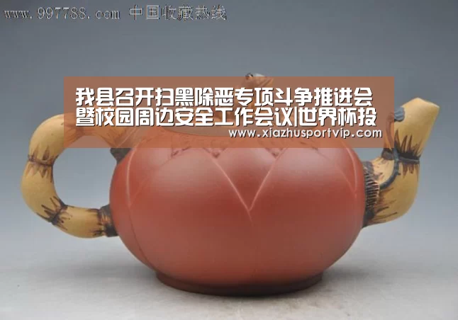 我县召开扫黑除恶专项斗争推进会暨校园周边安全工作会议|世界杯投注网(图1) 世界杯投注网