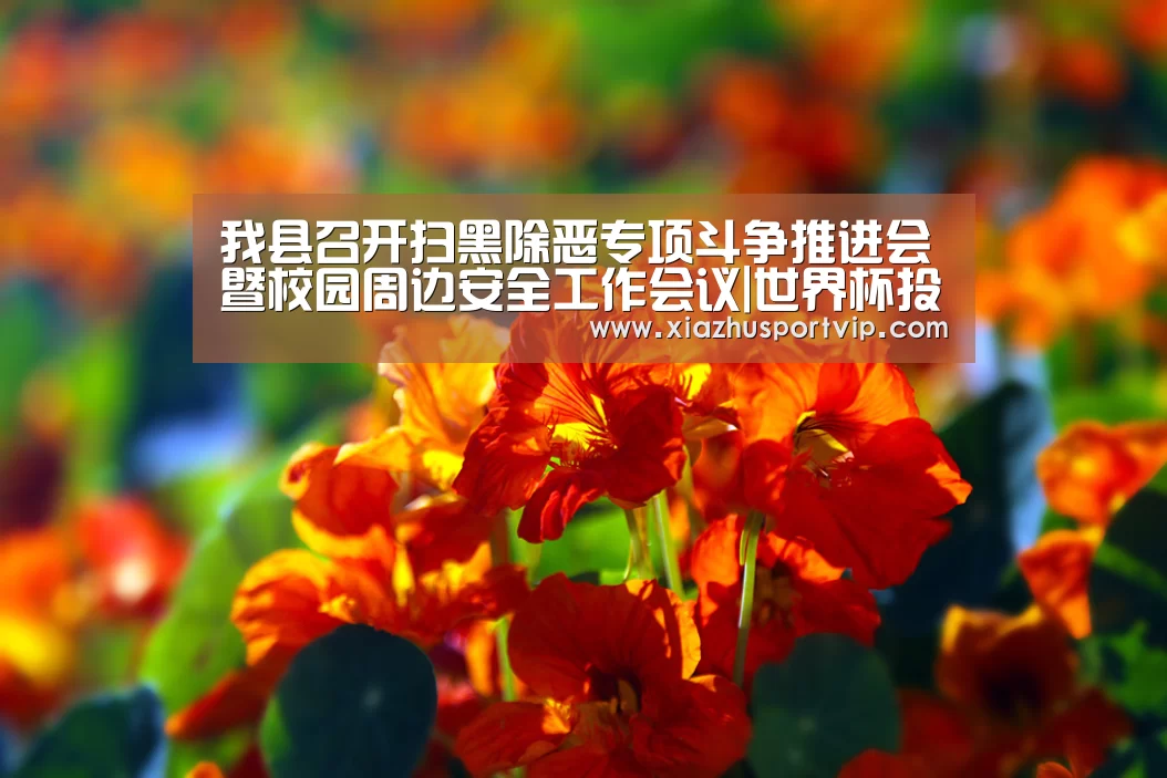 我县召开扫黑除恶专项斗争推进会暨校园周边安全工作会议|世界杯投注网(图3) 世界杯下注