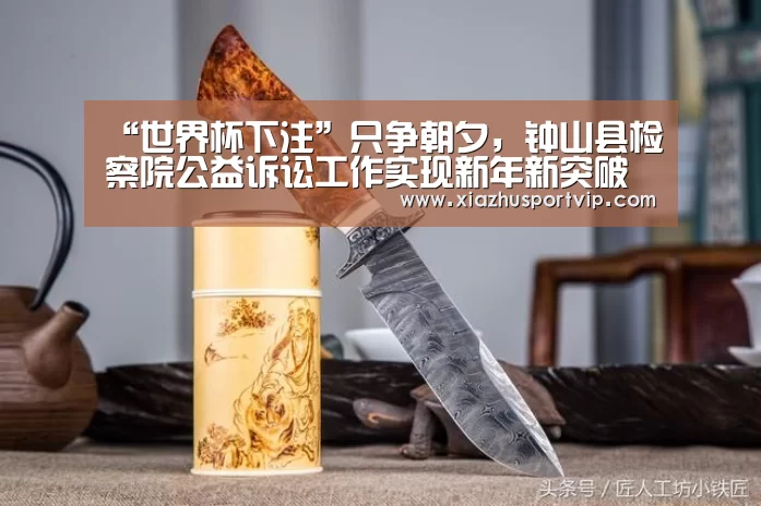 “世界杯下注”只争朝夕,钟山县检察院公益诉讼工作实现新年新突破(图1) 世界杯下注官网